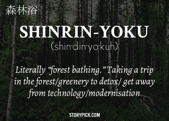 14 Beautiful Japanese Words You Didn't Know You Needed