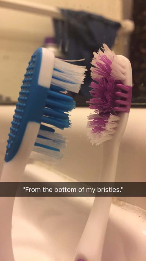 This Viral Love Story Between Two Toothbrushes Will Leave You Grinning ...