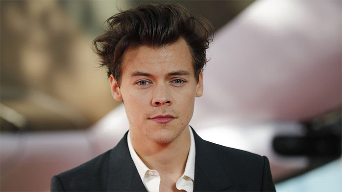 Videos Of Harry Styles Being Groped On Stage Are Going Viral. Have Fans ...