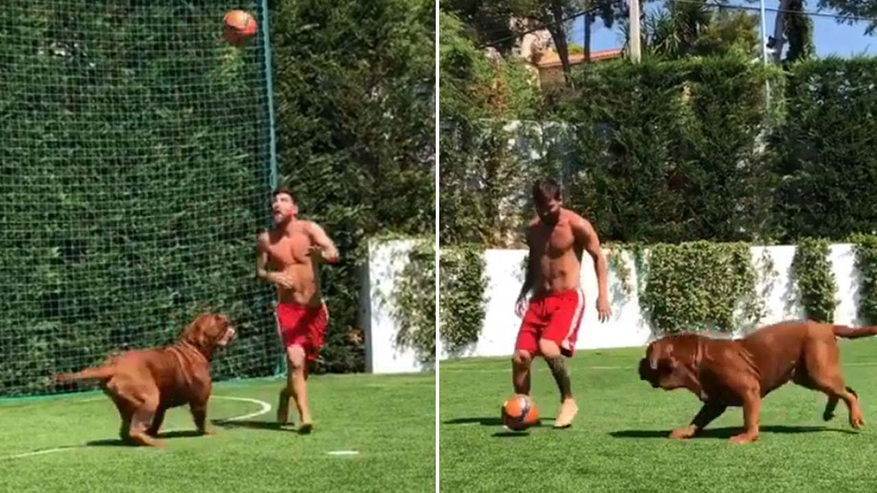 Lionel Messi's Hugeass Dog Has No Clue How To Get The Ball ...