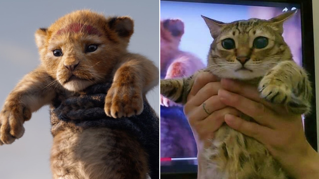 Fans Recreate Simba&#039;s Intro Scene From &#039;The Lion King&#039; With Their Pets