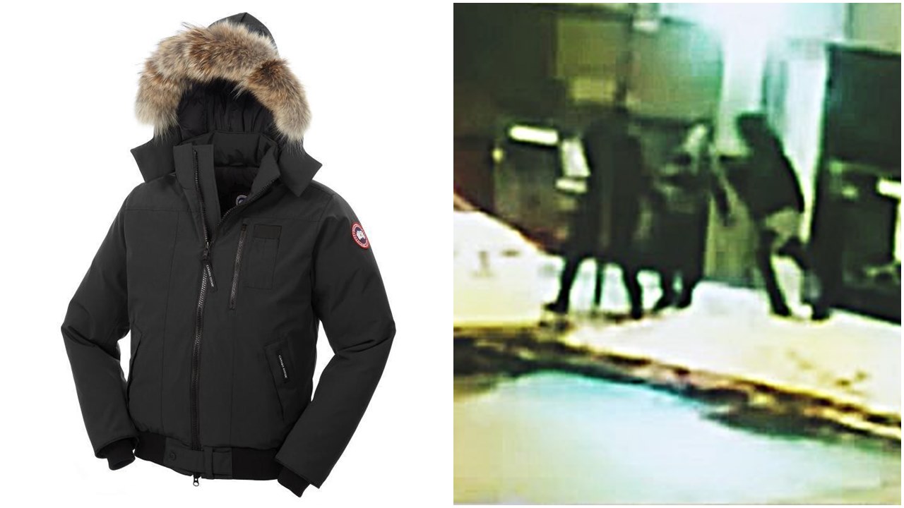 Canada goose 2024 chicago robbery