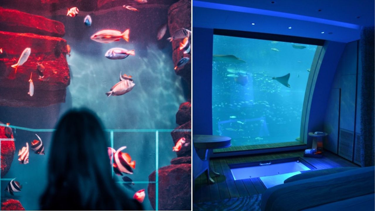 Australia's Underwater Hotel Promises 360° Views Of Great Barrier Reef