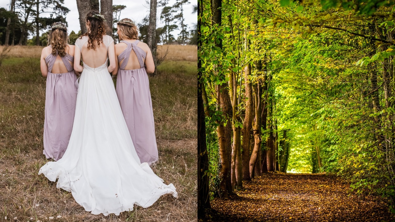 Uk Woman Marries Tree To Stop Govt From Cutting Down Park