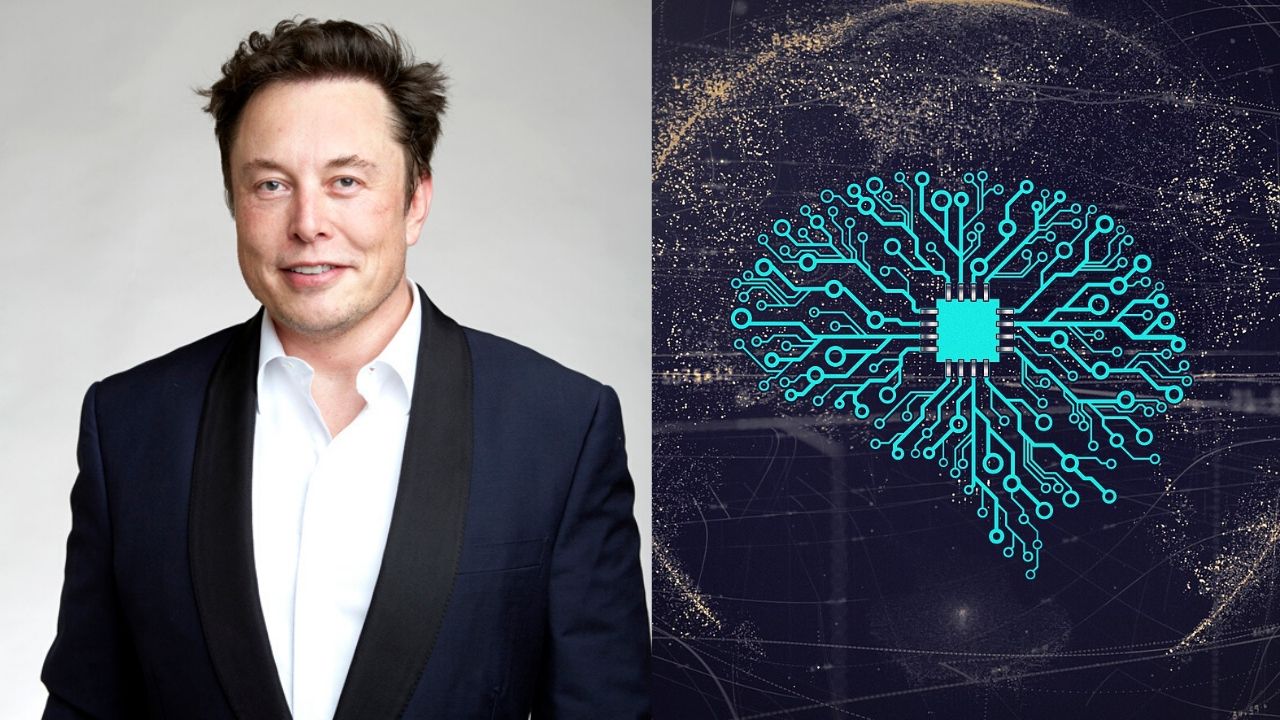 Intelligence team. Элон Маск IQ. Elon Musk IQ. Elon Musk CIA. Глеб Михайлов ИТ отель финтех основатель.