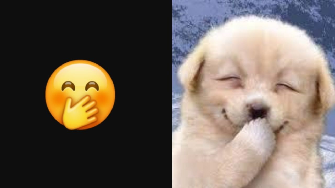 Wholesome Twitter Thread Compares Popular Emojis With Dog Faces