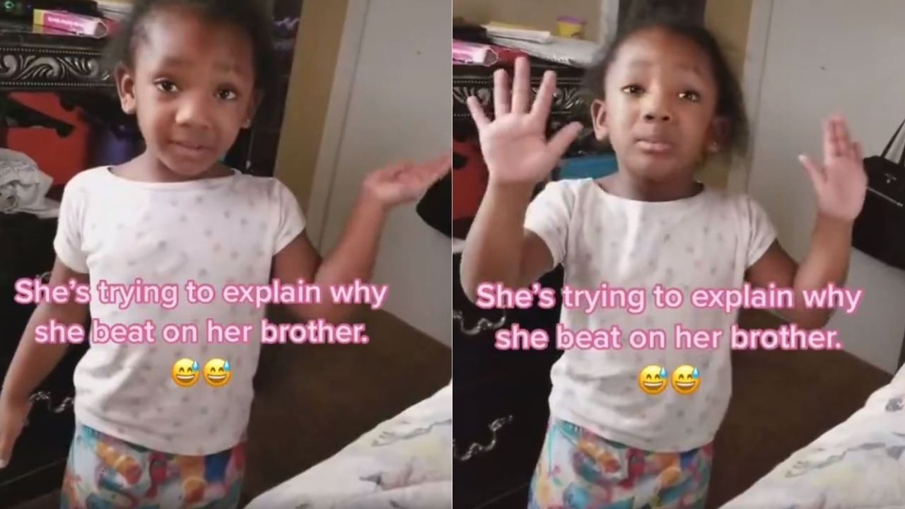 Little Girl Hilariously Explains Why She Hit Her Brother, Watch Video