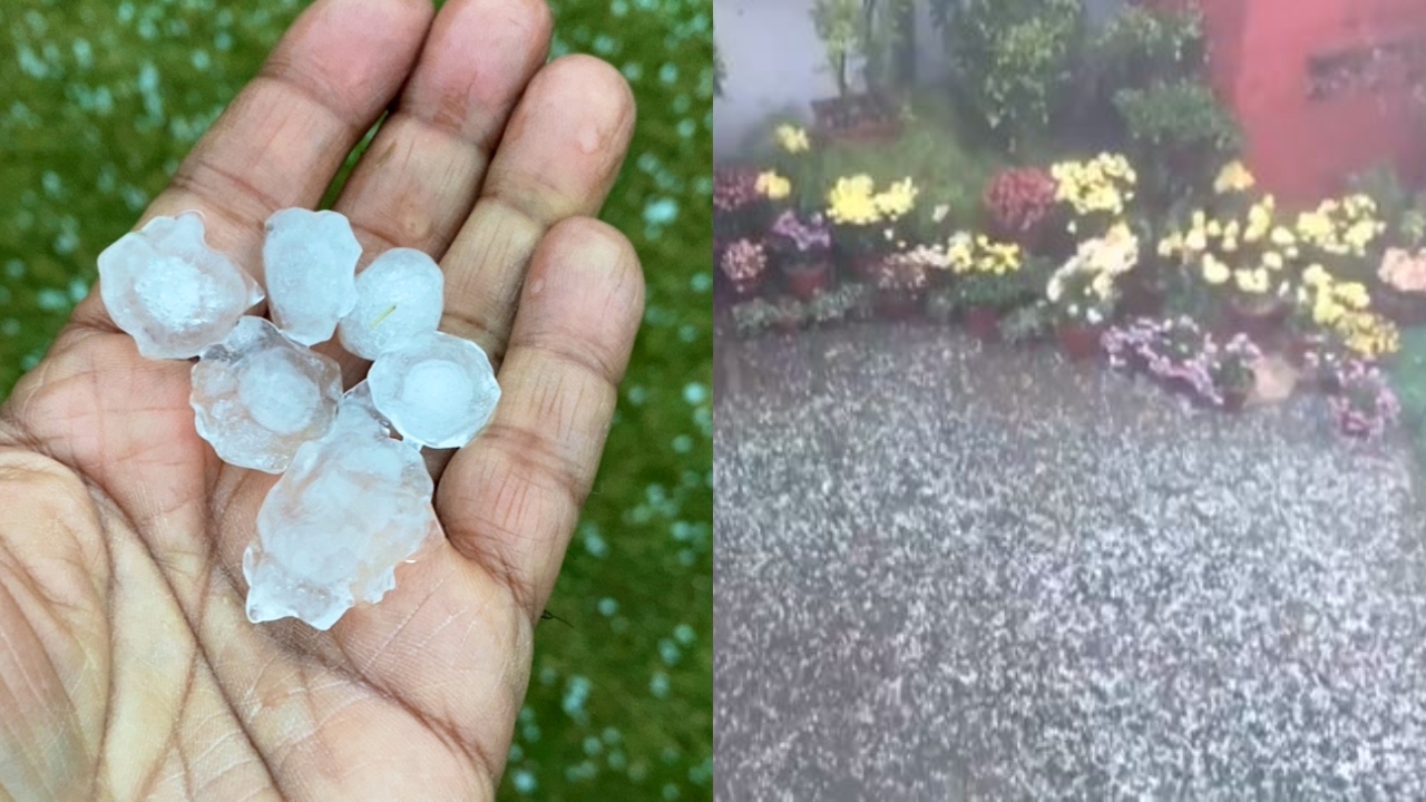 Residents Of Delhi Gurugram Wake Up To Hailstorm Share Visuals