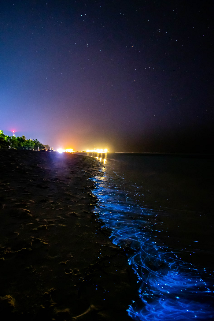 Chennai Beach Glows At Night Due To Bioluminescent Waves, Locals Share Visuals Online