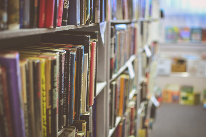 Why Public Libraries Are Important: Scenes From Inside Karnataka’s Rural Public Libraries